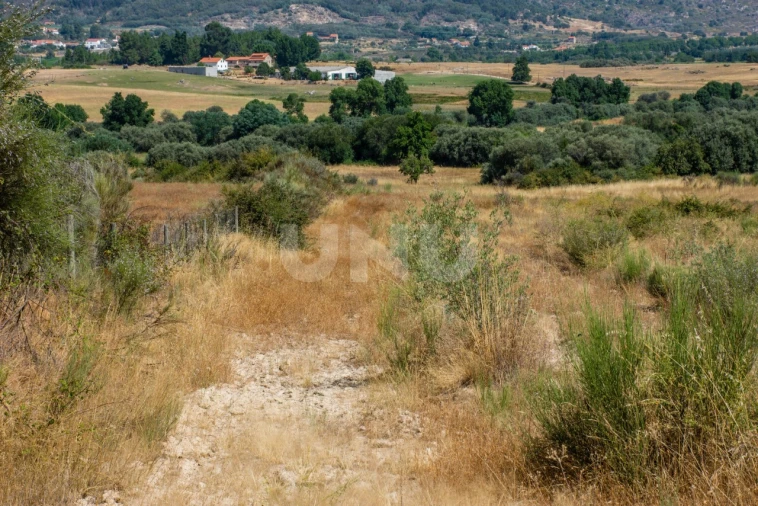 Terreno Agricola ou Rústico para Venda em Inguias Foto 5