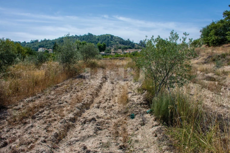 Terreno Agricola ou Rústico para Venda em Inguias Foto 6