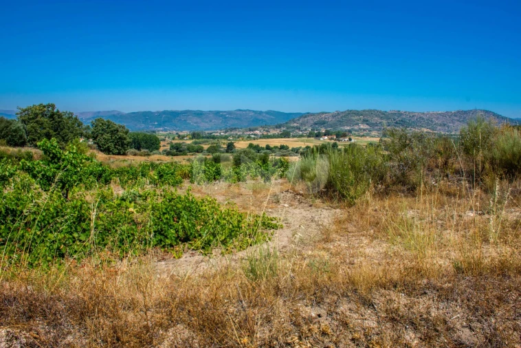 Terreno Agricola ou Rústico para Venda em Inguias Foto 11
