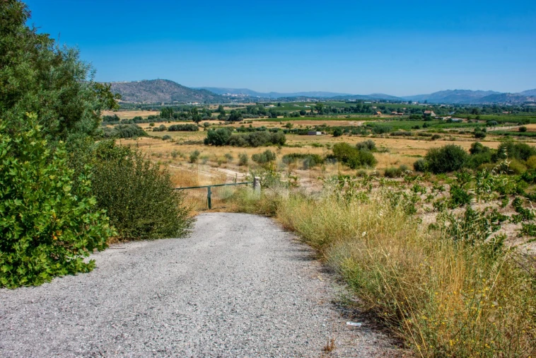 Terreno Agricola ou Rústico para Venda em Inguias Foto 12