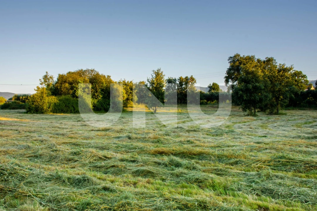 Terreno para Venda em Fundão, Valverde, Donas, A. Joanes, A. Nova Cabo Foto 3