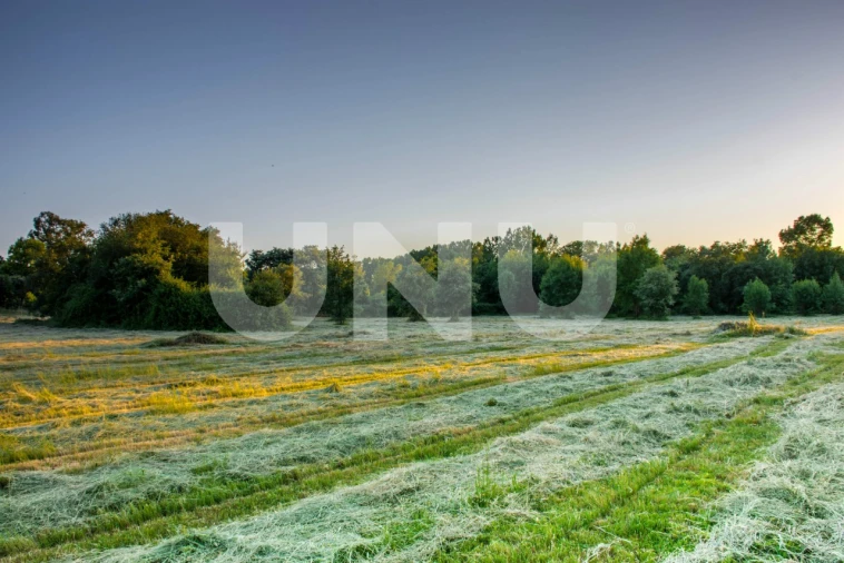 Terreno para Venda em Fundão, Valverde, Donas, A. Joanes, A. Nova Cabo Foto 4