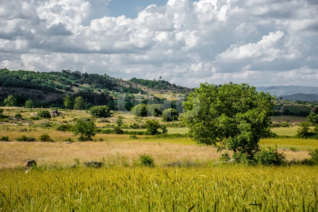Terreno Agricola ou Rústico para Venda em Caria Foto 1