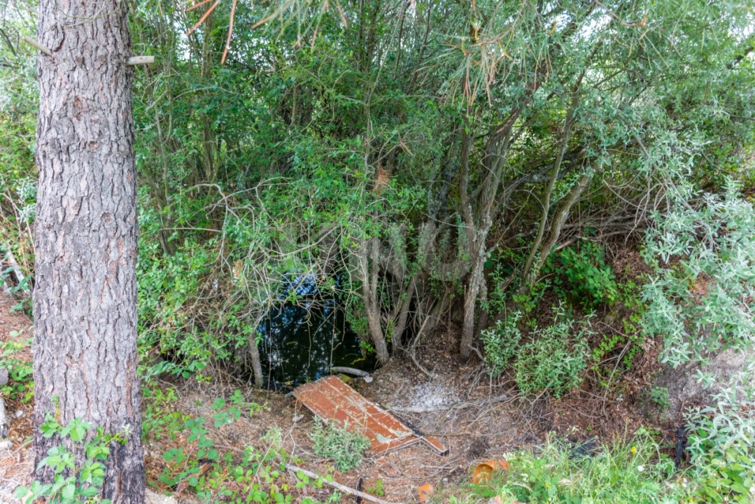 Terreno Agricola ou Rústico para Venda em Caria Foto 6