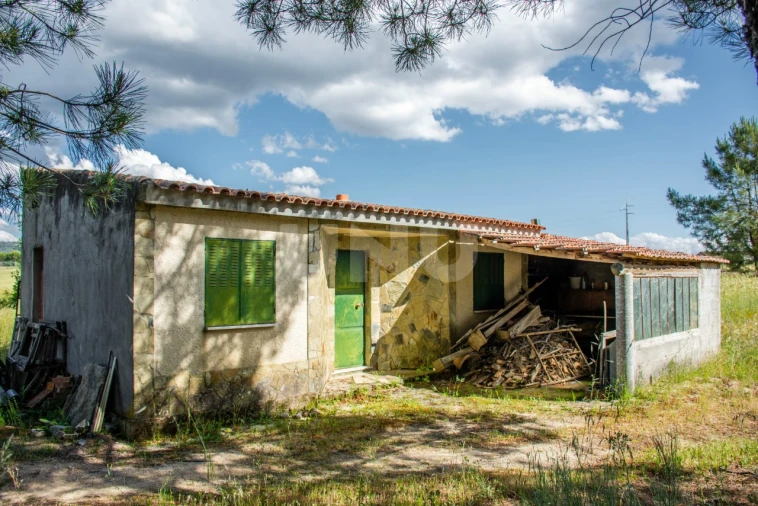 Terreno Agricola ou Rústico para Venda em Caria Foto 3