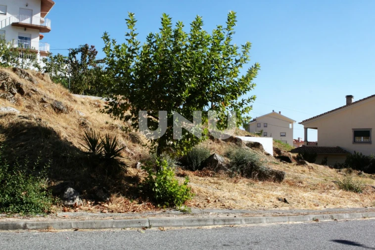Terreno para Venda em Teixoso e Sarzedo Foto 4