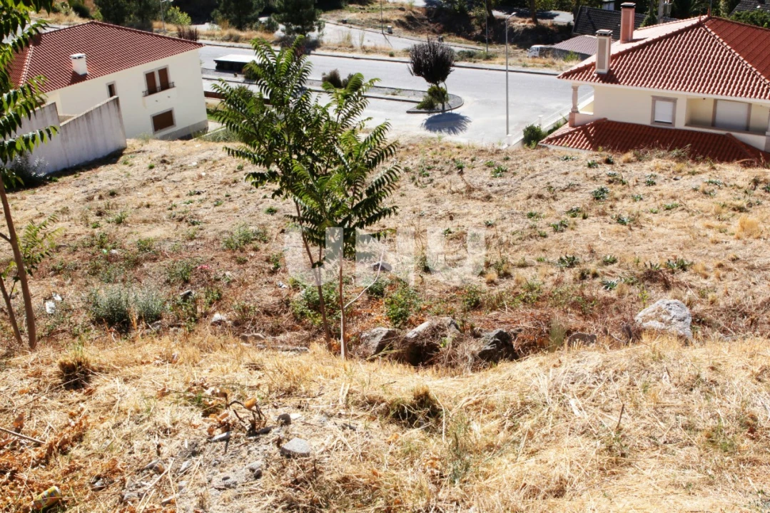 Terreno para Venda em Teixoso e Sarzedo Foto 1