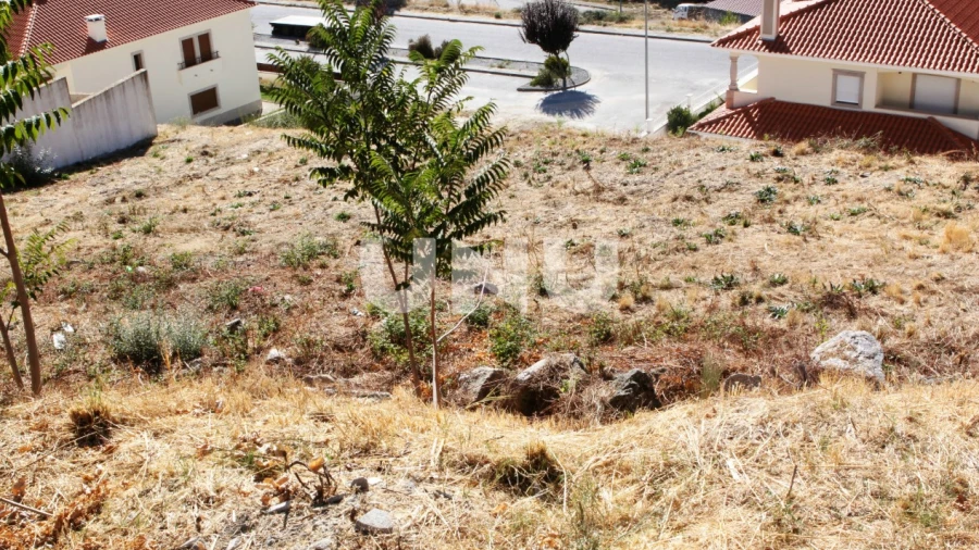 Terreno para Venda em Teixoso e Sarzedo