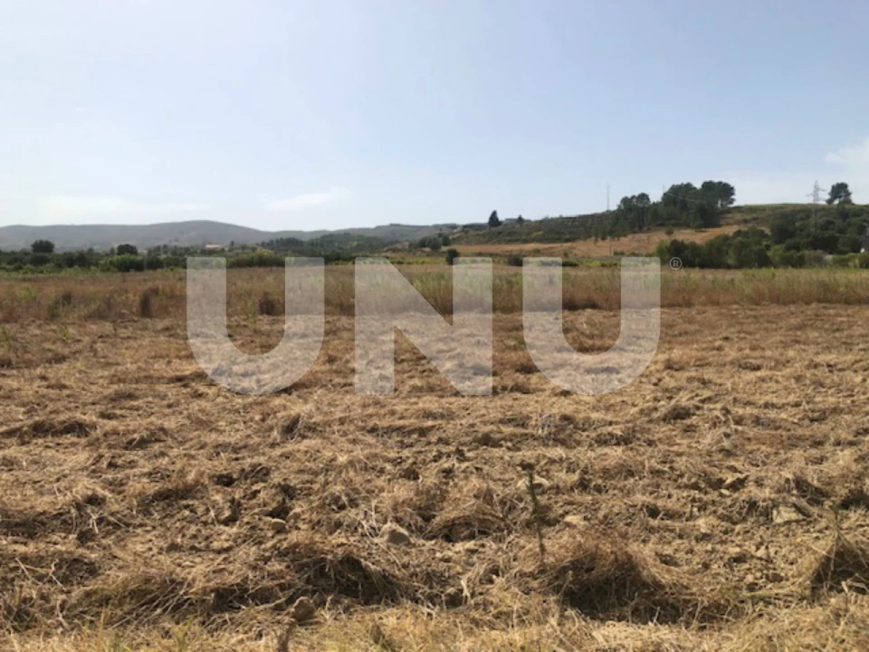 Terreno Agricola ou Rústico para Venda em Telhado Foto 4