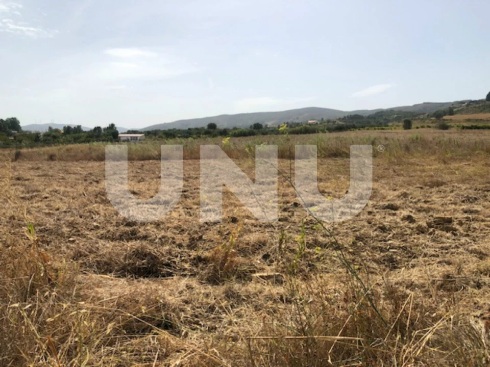 Terreno Agricola ou Rústico para Venda em Telhado Foto 5