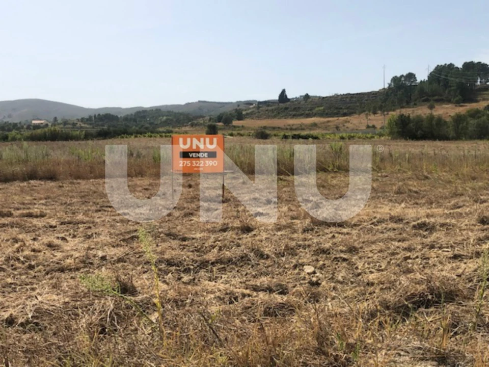Terreno Agricola ou Rústico para Venda em Telhado Foto 6