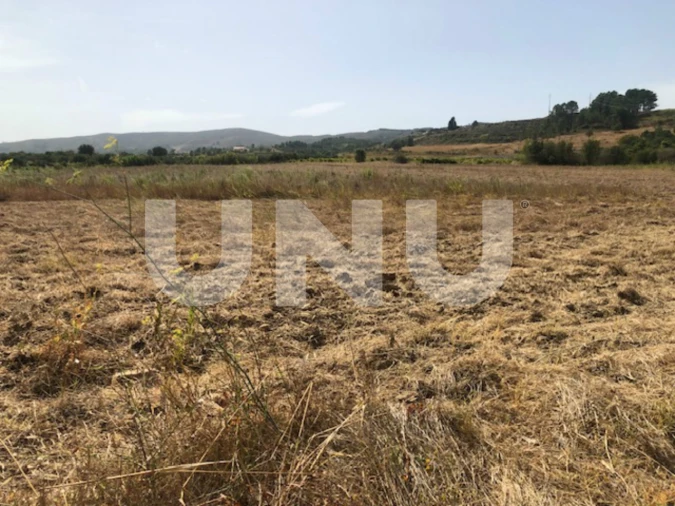 Terreno Agricola ou Rústico para Venda em Telhado Foto 3