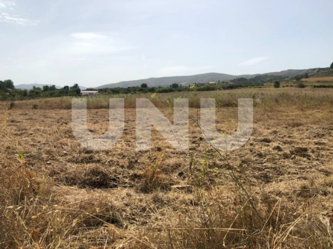 Terreno Agricola ou Rústico para Venda em Telhado Foto 5