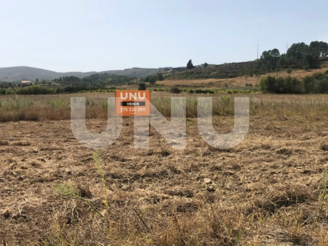 Terreno Agricola ou Rústico para Venda em Telhado Foto 6