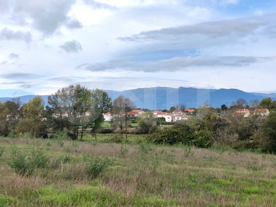 Terreno Agricola ou Rústico para Venda em Caria Foto 18