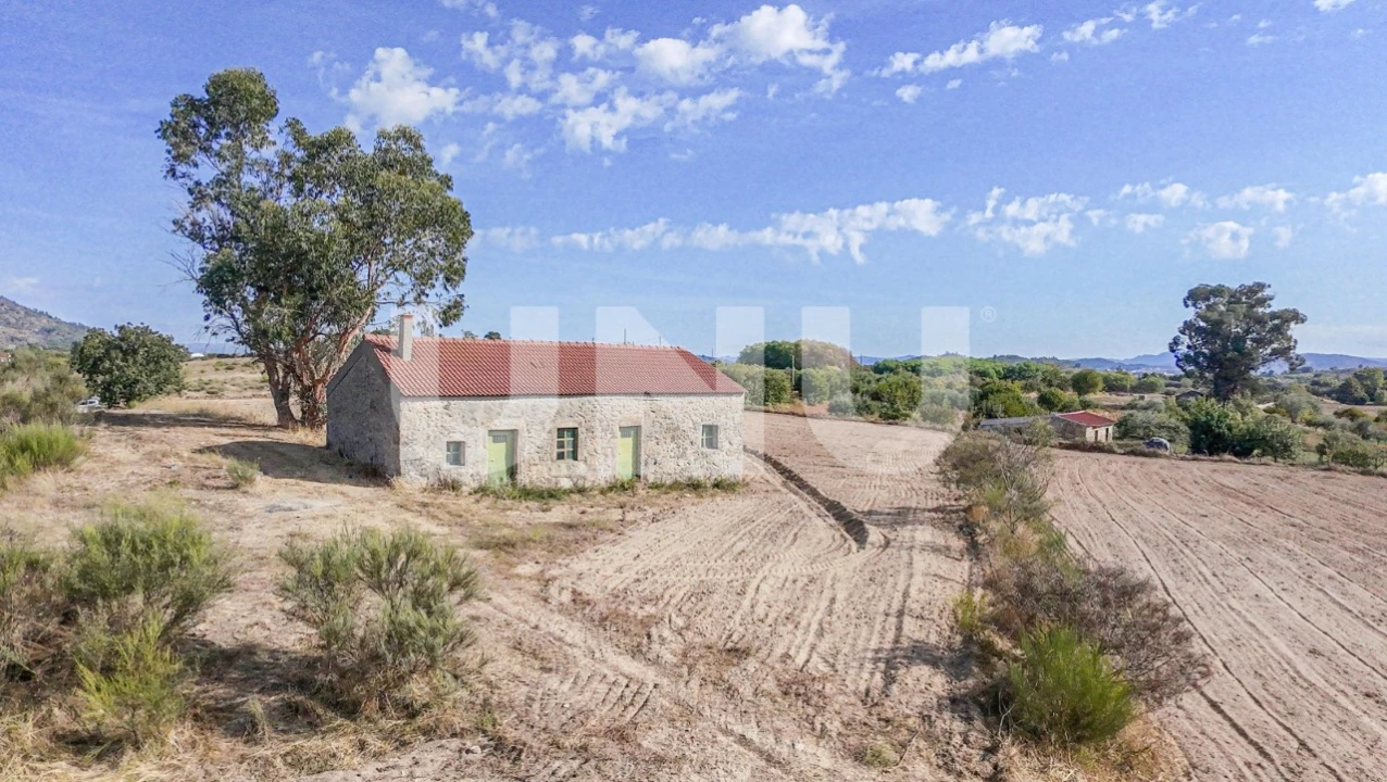 Terreno Agricola ou Rústico para Venda em Caria Foto 1