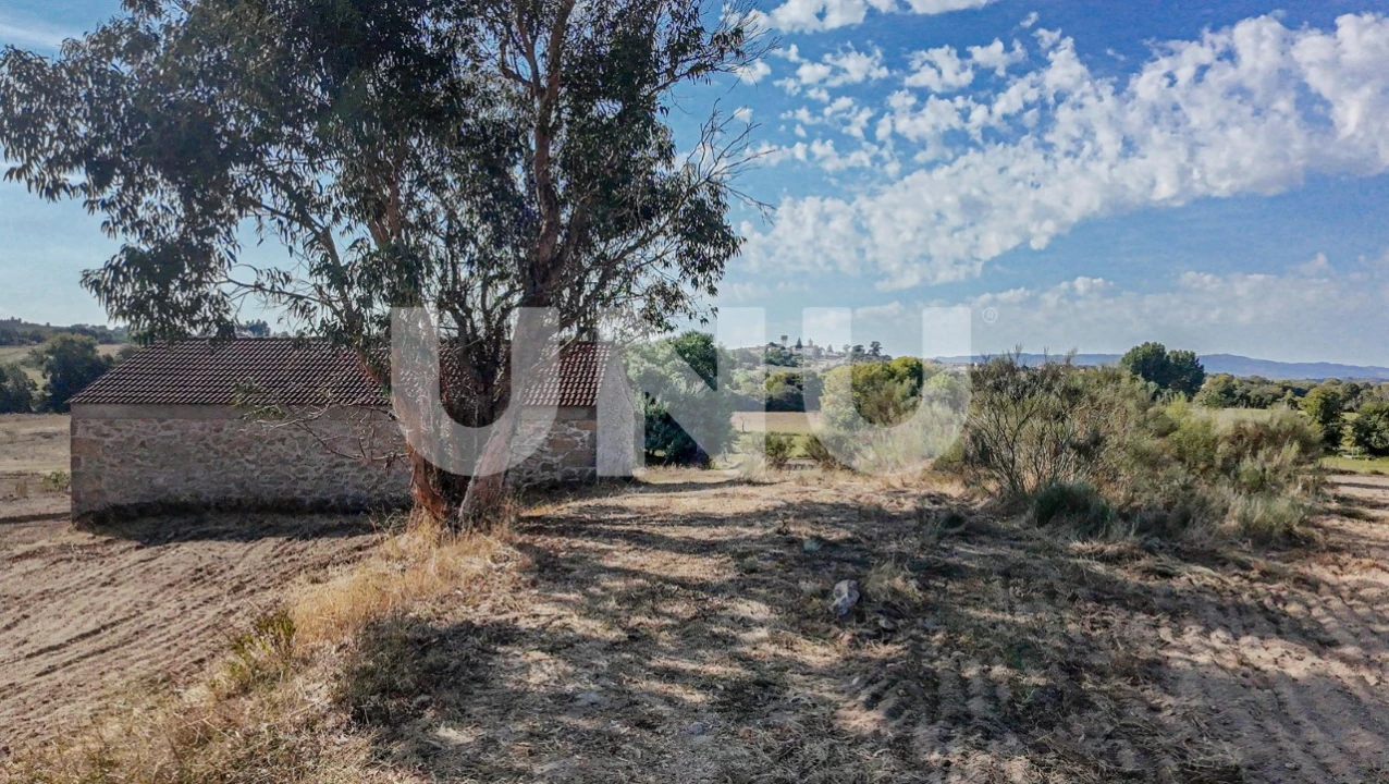 Terreno Agricola ou Rústico para Venda em Caria Foto 2