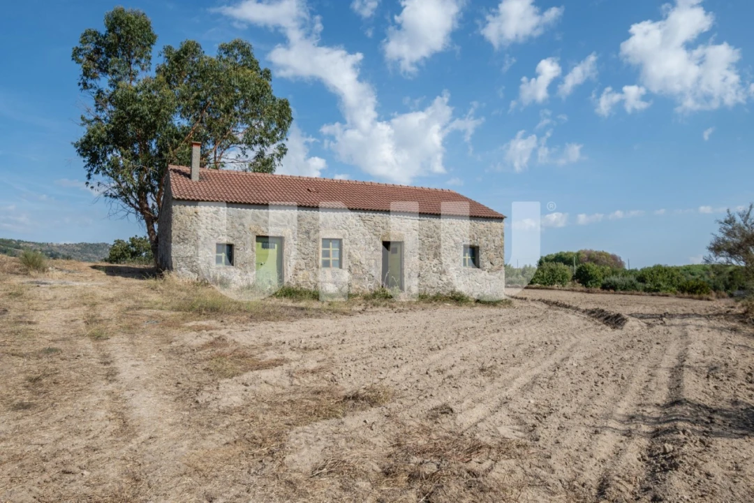Terreno Agricola ou Rústico para Venda em Caria Foto 10