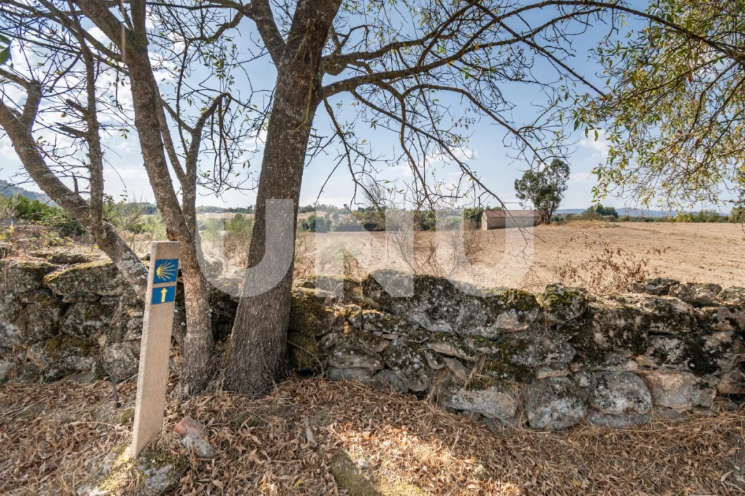 Terreno Agricola ou Rústico para Venda em Caria Foto 19