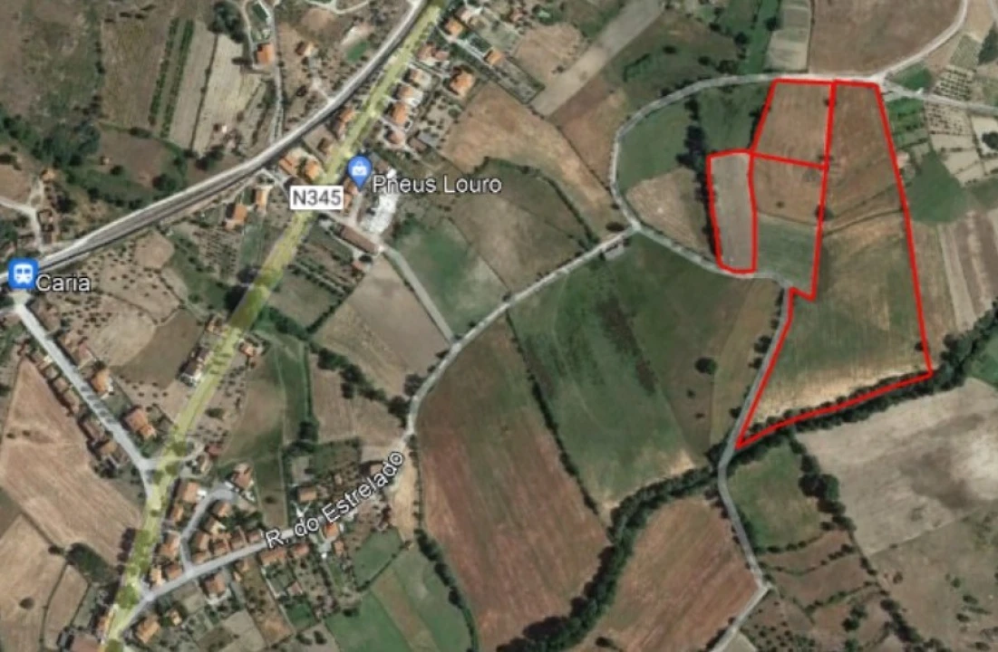 Terreno Agricola ou Rústico para Venda em Caria Foto 20