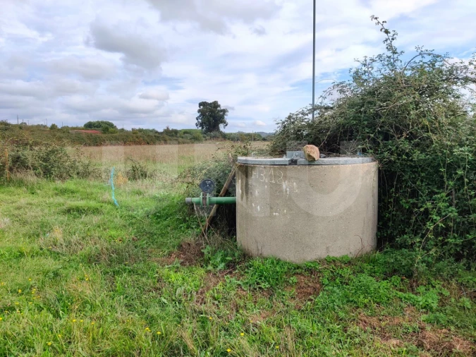 Terreno Agricola ou Rústico para Venda em Caria Foto 16
