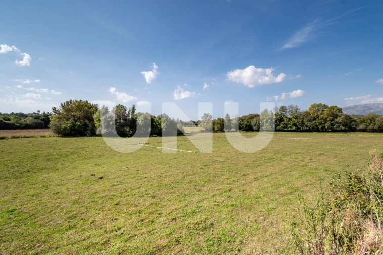 Terreno Agricola ou Rústico para Venda em Caria Foto 8
