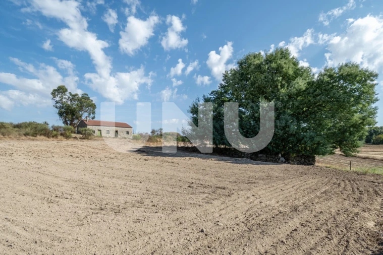 Terreno Agricola ou Rústico para Venda em Caria Foto 9