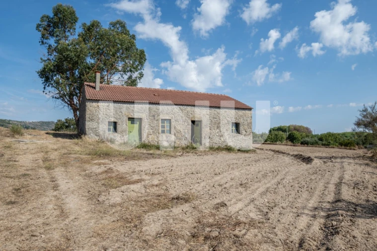 Terreno Agricola ou Rústico para Venda em Caria Foto 10