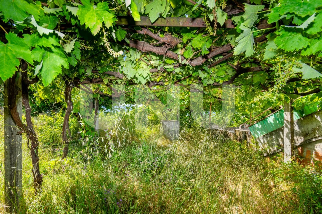 Quinta T3 para Venda em Cantar-Galo e Vila do Carvalho Foto 25