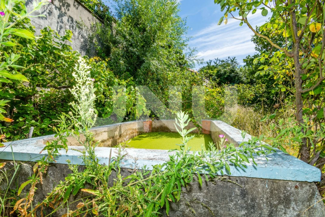 Quinta T3 para Venda em Cantar-Galo e Vila do Carvalho Foto 26