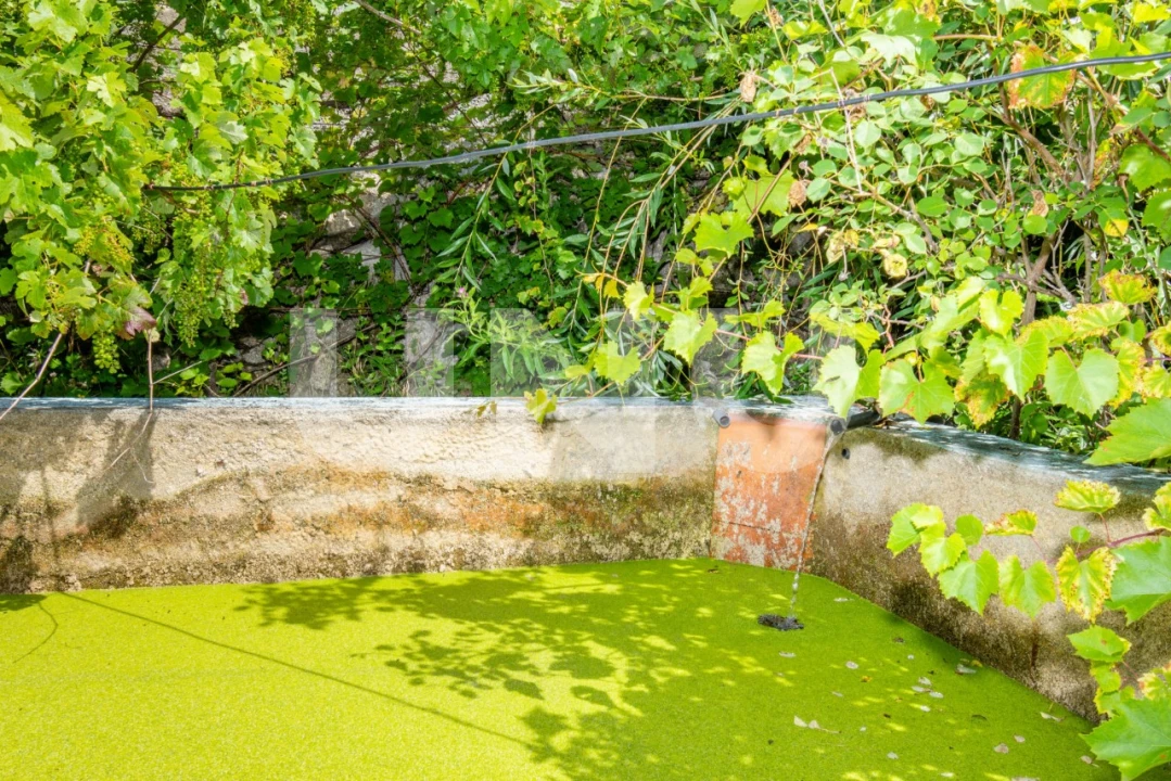 Quinta T3 para Venda em Cantar-Galo e Vila do Carvalho Foto 28