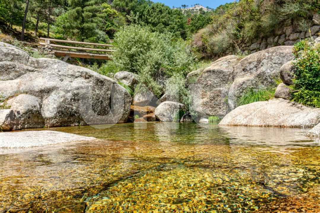 Quinta T3 para Venda em Cantar-Galo e Vila do Carvalho Foto 35