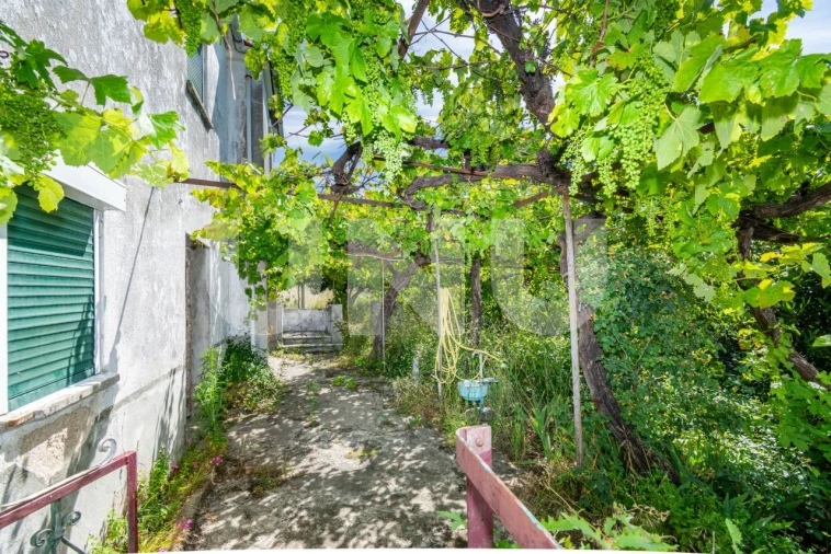 Quinta T3 para Venda em Cantar-Galo e Vila do Carvalho Foto 4