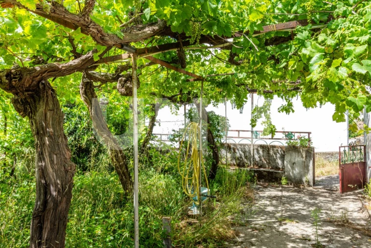 Quinta T3 para Venda em Cantar-Galo e Vila do Carvalho Foto 30