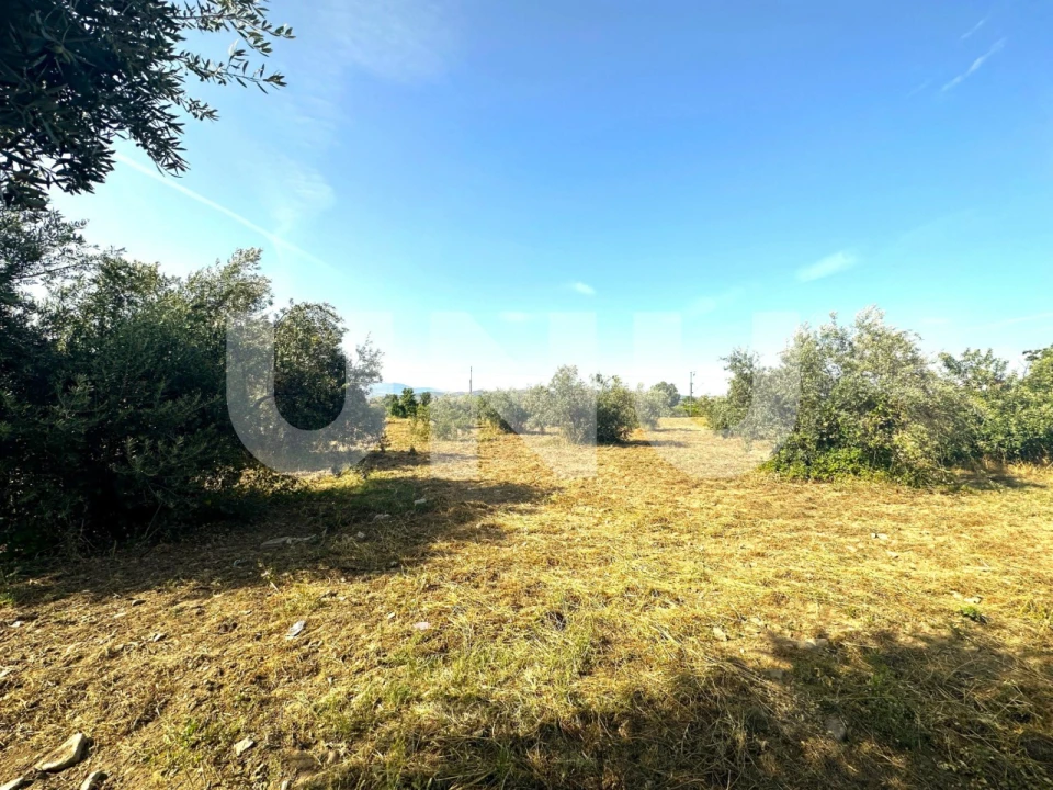 Terreno Agricola ou Rústico para Venda em Fundão, Valverde, Donas, A. Joanes, A. Nova Cabo Foto 3