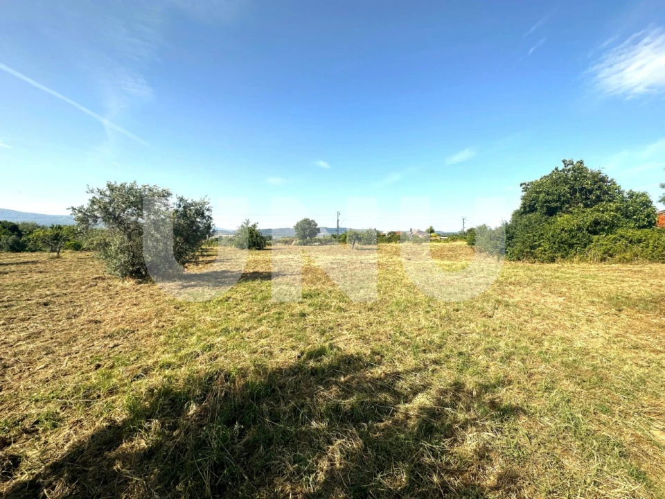 Terreno Agricola ou Rústico para Venda em Fundão, Valverde, Donas, A. Joanes, A. Nova Cabo Foto 4