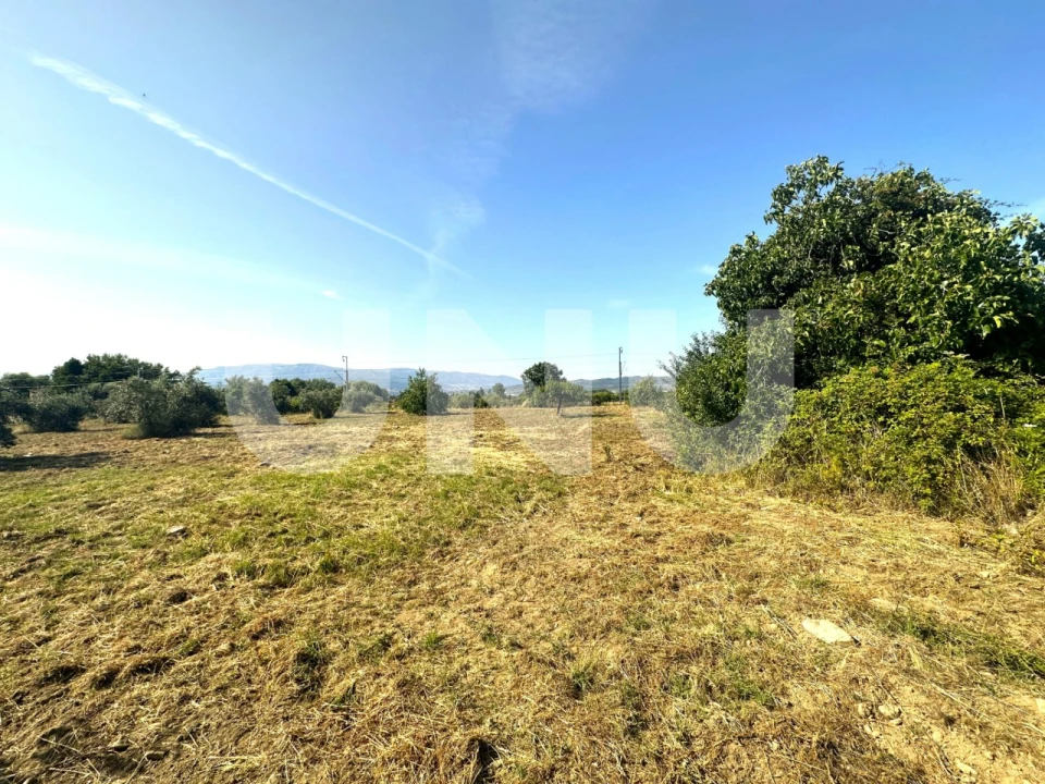 Terreno Agricola ou Rústico para Venda em Fundão, Valverde, Donas, A. Joanes, A. Nova Cabo Foto 5