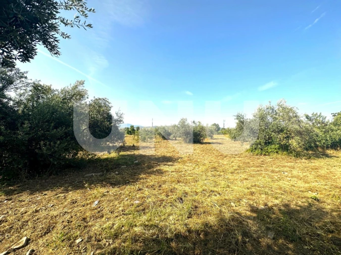 Terreno Agricola ou Rústico para Venda em Fundão, Valverde, Donas, A. Joanes, A. Nova Cabo Foto 3