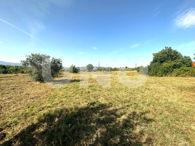 Terreno Agricola ou Rústico para Venda em Fundão, Valverde, Donas, A. Joanes, A. Nova Cabo Foto 4