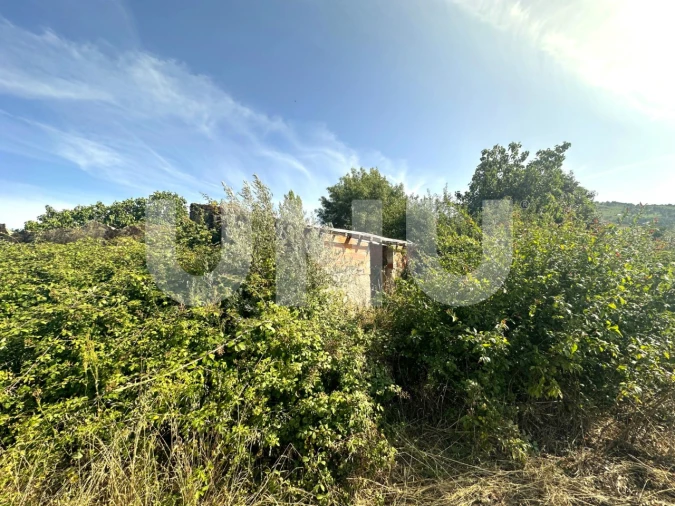 Terreno Agricola ou Rústico para Venda em Fundão, Valverde, Donas, A. Joanes, A. Nova Cabo Foto 7