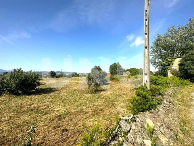Terreno Agricola ou Rústico para Venda em Fundão, Valverde, Donas, A. Joanes, A. Nova Cabo Foto 10