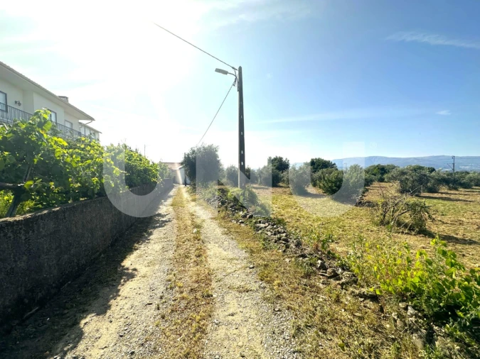 Terreno Agricola ou Rústico para Venda em Fundão, Valverde, Donas, A. Joanes, A. Nova Cabo Foto 12