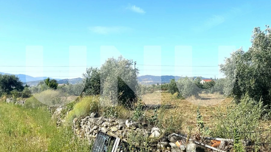 Terreno Agricola ou Rústico para Venda em Fundão, Valverde, Donas, A. Joanes, A. Nova Cabo
