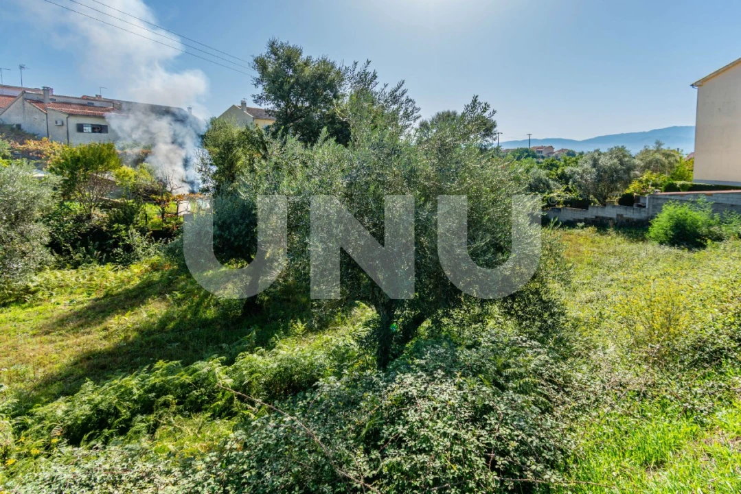 Terreno para Venda em Dominguizo Foto 7