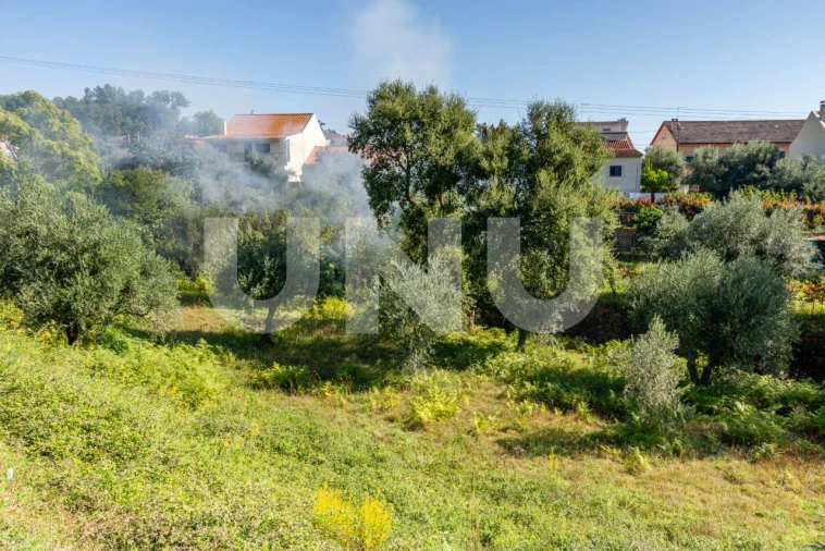 Terreno para Venda em Dominguizo