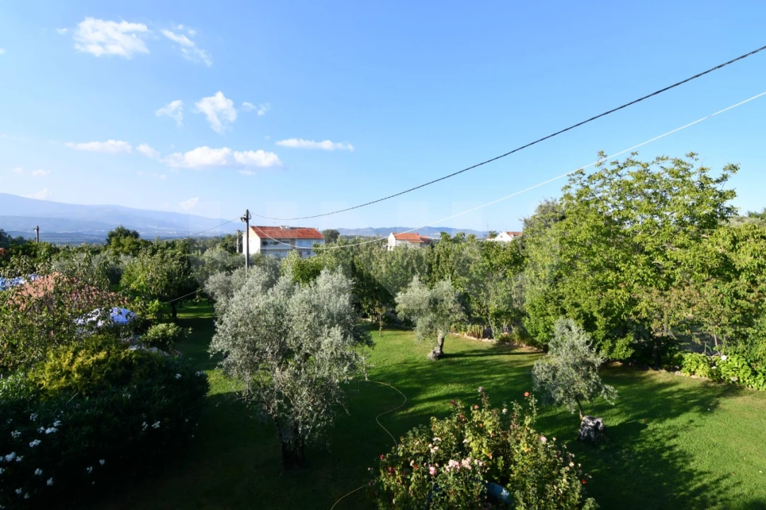 Negócio para Venda em Fundão, Valverde, Donas, A. Joanes, A. Nova Cabo Foto 8