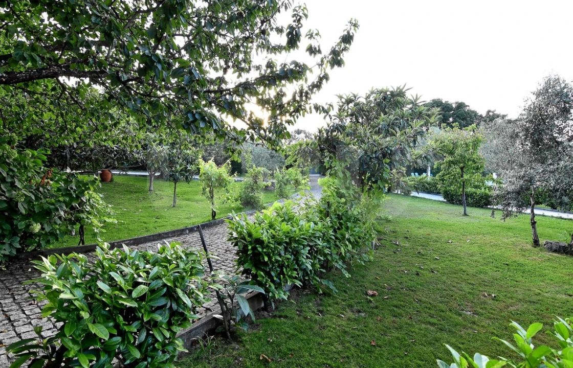 Negócio para Venda em Fundão, Valverde, Donas, A. Joanes, A. Nova Cabo Foto 43