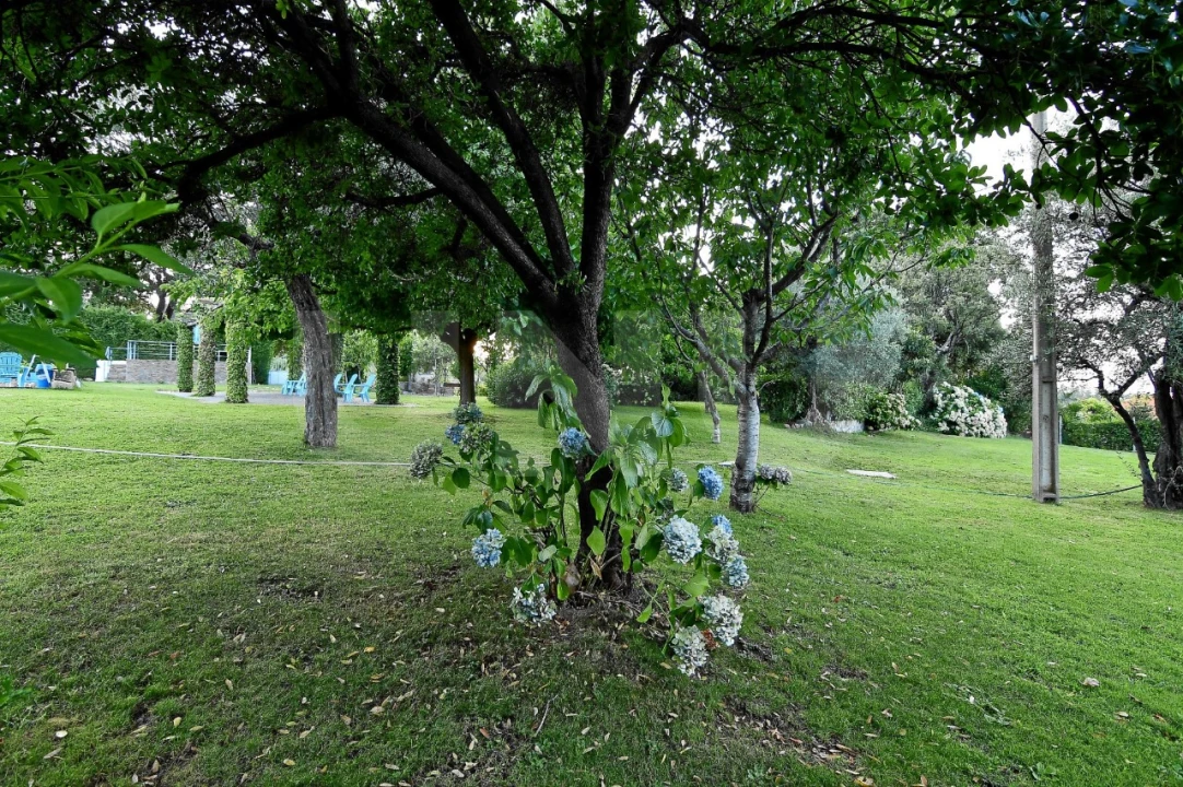 Negócio para Venda em Fundão, Valverde, Donas, A. Joanes, A. Nova Cabo Foto 52