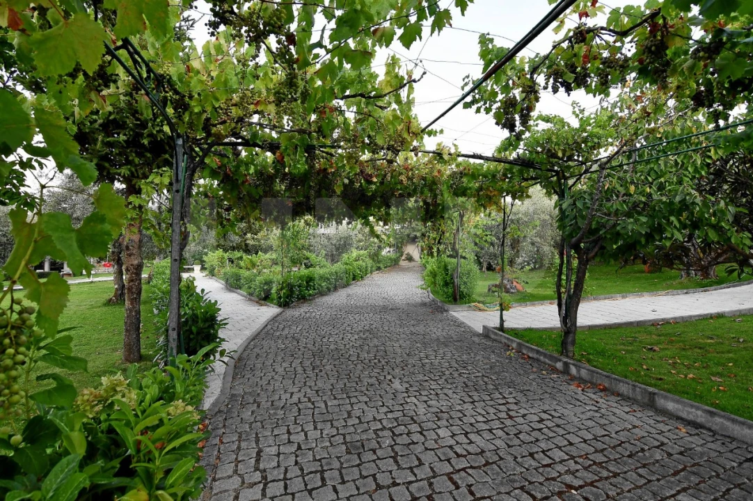 Negócio para Venda em Fundão, Valverde, Donas, A. Joanes, A. Nova Cabo Foto 70