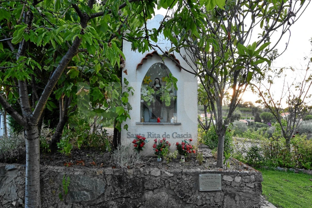 Negócio para Venda em Fundão, Valverde, Donas, A. Joanes, A. Nova Cabo Foto 76